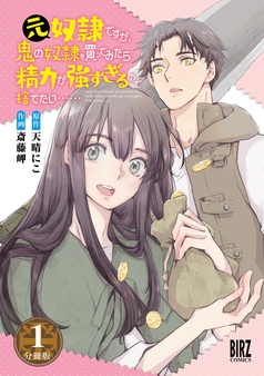元奴隷ですが、鬼の奴隷を買ってみたら精力が強すぎるので捨てたい…… 【分冊版】